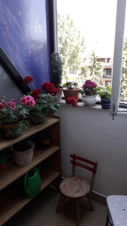 Annika Apartman Eger Buitenkant foto
